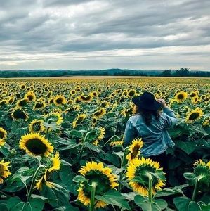 Meet your Posher, Morgan